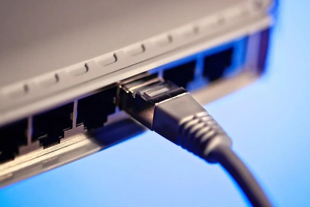 Cable de red conectado a un switch